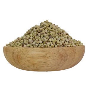 تخم گشنیز