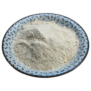 پودر سیر